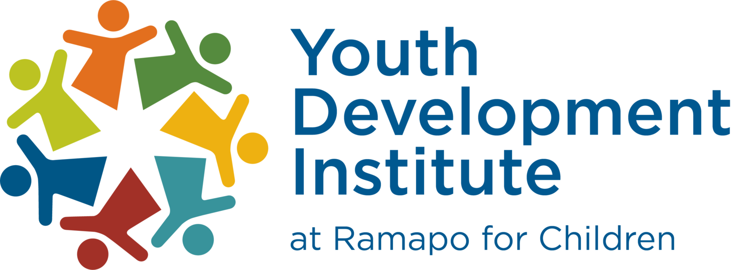Youth Development Institute